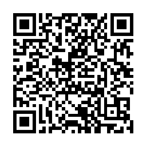 那一大把烟叶晒干压榨成的干烟叶就是杂货店的烟招牌了二维码生成