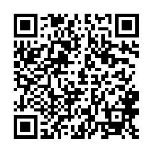 那一天小秋对我表达心声的时候我也不会默默地接受二维码生成