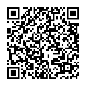 那一头如黑色瀑布般的长发便直接包裹住了那不断下坠的因果命雷二维码生成