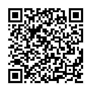 那一头暗红色的长发在阳光之中映出透明的模样二维码生成