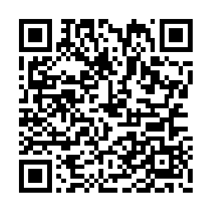 那一对巨大的白色球球就那样暴露在苏凡的眼前二维码生成