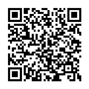 那一对硕大肥美的胸部就在秦洛的眼前摇摇欲坠二维码生成