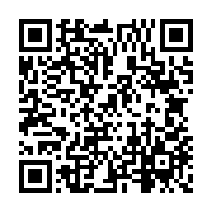 那一层薄薄的绒毛在光线之中宛若透明的琥珀色二维码生成