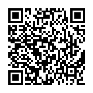 那一幕画面永久地凝固在了无数球迷的记忆深处二维码生成