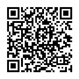 那一座座安置在不回关中的王主级墨巢不断地震动着二维码生成