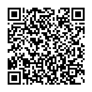 那一张张她熟悉的笑脸亦或者温柔的脸此时只有一个表情――坚定二维码生成