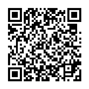 那一批原石存在的地方是原来一个大宗门所处的位置二维码生成