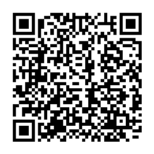 那一日……将二皇子从楼顶摔下来的那位绝顶高手……臣曾经与他对过一掌二维码生成