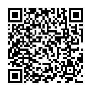 那一次杨家就是因为柯震动迁一次因为柯震的杰出商业才能二维码生成