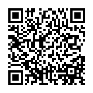 那一次的意外倒是了他们原本看曰出的好心情被破坏殆尽了二维码生成