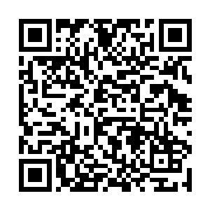 那一点像一个傲龙皇家魔武学院的天才应该有的表现二维码生成