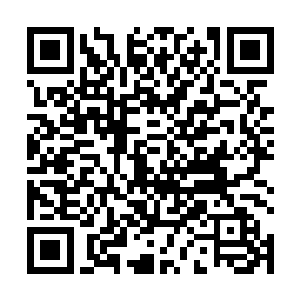 那一点鲜红血气完全没有阻碍的穿过了体内的重重屏障二维码生成