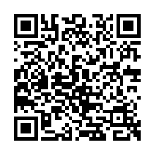 那一片片蛋壳里面都蕴涵着无比精纯的先天精气二维码生成