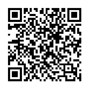 那一直在发功催动这水晶球转动而耗费巨大的绝灭老人二维码生成