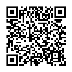 那一直懒洋洋盘踞在符文里的暗金血气游了出来二维码生成