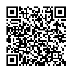 那一群十五个人干脆的坐在地上看苏落他们表演二维码生成