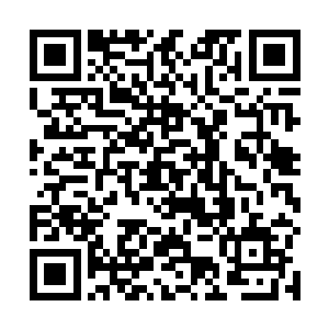 那一群摩托党看到自己的老大被人一巴掌给扇飞了起来二维码生成