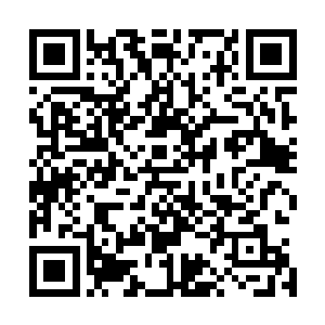 那一股熟悉感是来自何处了重生娱乐圈之孕妻影后全文阅读二维码生成