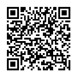那一辆绿色的保洁车竟然安然地通过了保安的检查二维码生成