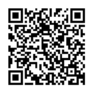 那一道道一条条借自剑冢剑池两地的灵犀剑气才会来得如此迅猛二维码生成