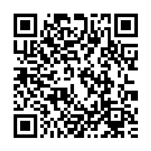那一道道关于心灵关于精神力运用的法则也被池佳一吸收领悟二维码生成