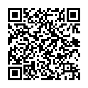 那一阵阵冰冷的电子合成音也再度从那机械巨兽的体内响起二维码生成