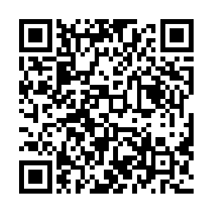 那七个家伙已经按照我所预想的……守在实验室里不走了二维码生成