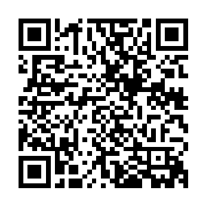 那万众瞩目的视线彷佛随时都可以将舞台上的一切都融化掉一般二维码生成