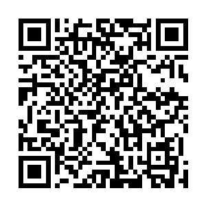 那万年不变让所有导师都有些讨厌的笑脸都差点维持不住二维码生成