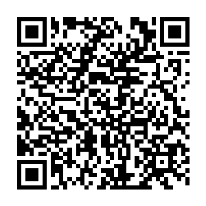 那三个刑堂堂主又再一次抡起了惩仙鞭狠狠地抽打在那三个修士的身上二维码生成