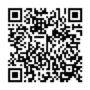那三个手持阵盘的筑基期修士被刺耳的叫声震得都是一晃二维码生成