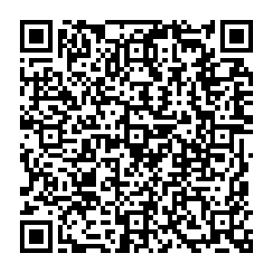 那三位追杀连云子的杀手那没有出手的两位在听到他们领队的话语之后二话不说转身便是消失二维码生成