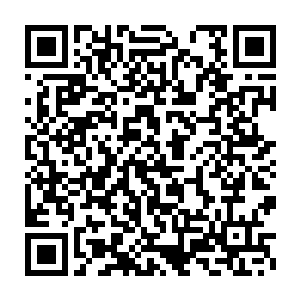 那三尾巨狼庞大的身躯竟然在这血光炼化下被一点一点的腐蚀殆尽二维码生成