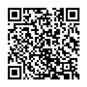 那三株安魂草上的颜色正在退去最后的一丝青翠二维码生成