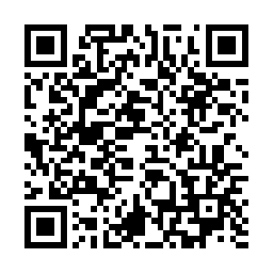 那三足金乌身上就像是一轮撕破黑夜和迷雾的红日一样二维码生成