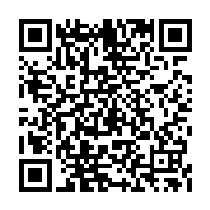 那上百根寂灭针虽然已经被他的不动金刚身夹住二维码生成