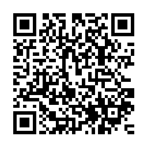 那上面的恐怖的毁灭气息比之前的时候雷龙不知道要恐怖多少倍二维码生成