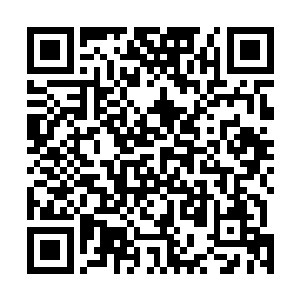 那不就是说我没办法在短时间内提升我的身体对抗能力了二维码生成