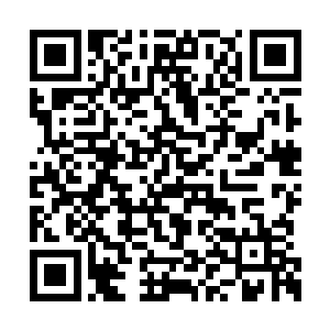 那不是因为……这次就这个理由能帮人开罪了嘛二维码生成