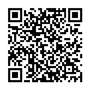 那不是她上次在飞机上遇见的那个很不错的男人吗二维码生成