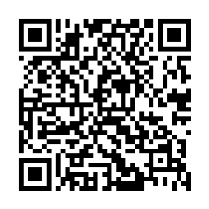 那不是昨天弗拉基米尔说的凯瑟琳女王陛下的私人游艇吗二维码生成