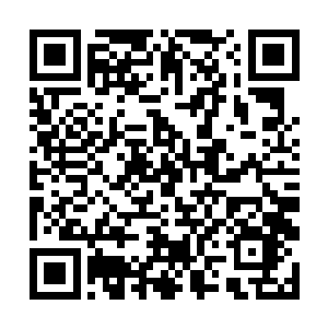 那不是等于把我本来可以占领市场的杀手锏拱手送人二维码生成