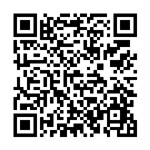 那不知道把那些煞神的尸体碎片给小树做肥料又会如何呢二维码生成