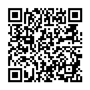 那不知隐蔽在何处的生命琼浆杨开可是势在必得二维码生成