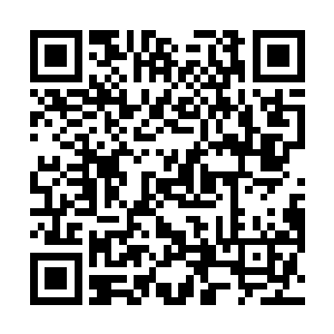 那不管身材相貌气质都是一流的女人竟然还真是位侍从二维码生成