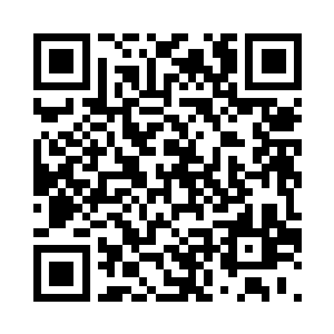 那不速之客正是杨开之前看到的楼船二维码生成