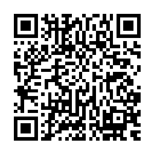 那两个为日族族长和月族族长护法的修士猛然扑向了星族族长二维码生成