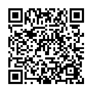 那两个九品神仙帮手估计也是褚皓子的狐朋狗友二维码生成