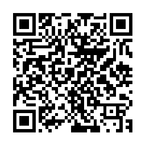那两个便衣见识了我和师姐许诺的本领后已经对我十分的崇拜了二维码生成