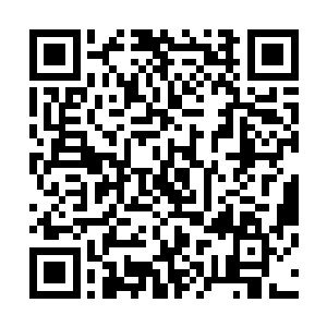 那两个修士奋力地举起了仙器向着两个巨大的前臂挡了上去二维码生成